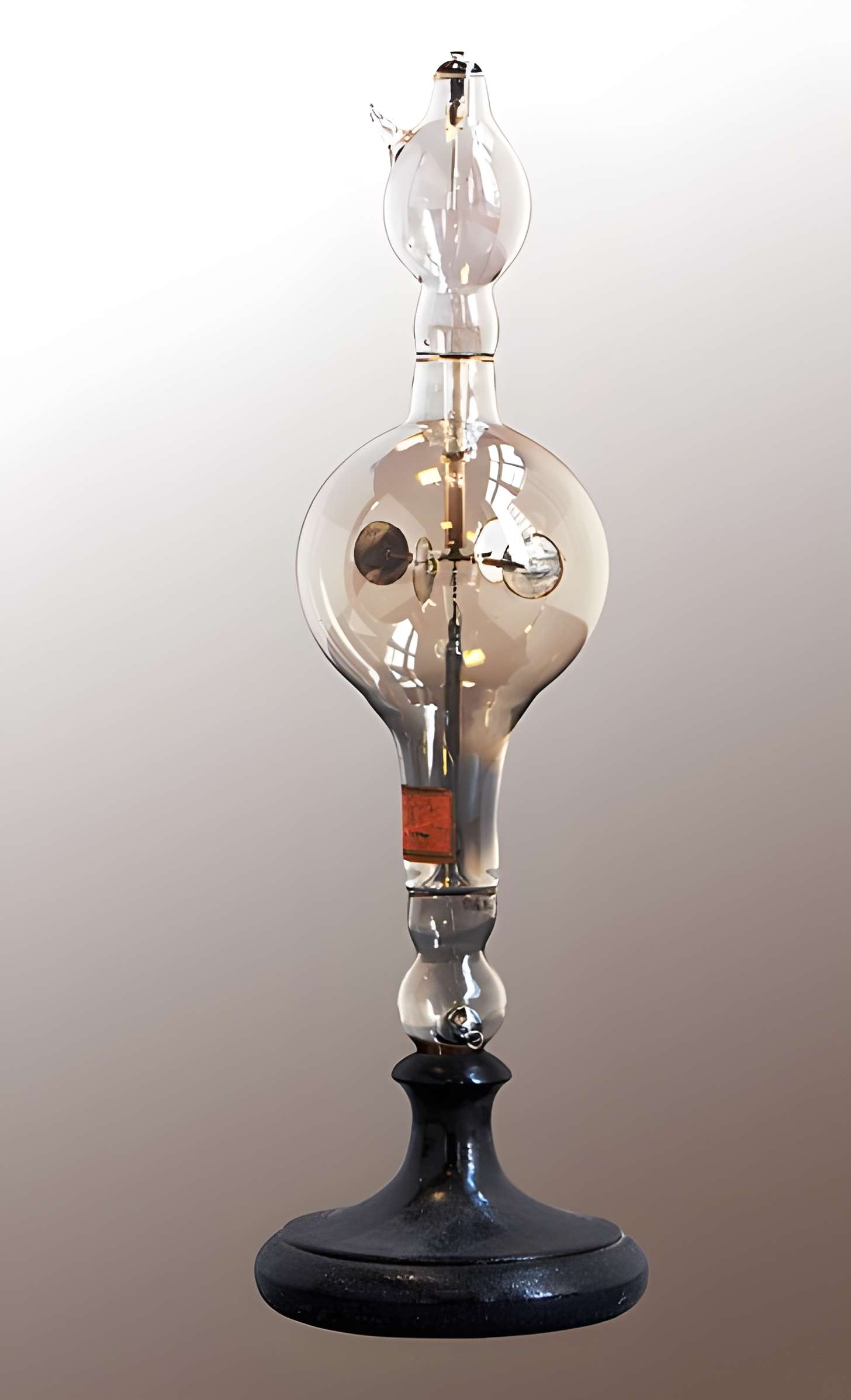 Musée d'histoire naturelle de Lille