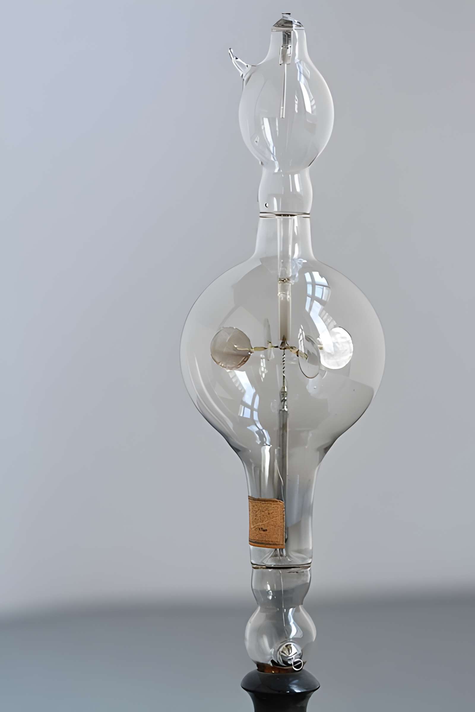 Musée d'histoire naturelle de Lille