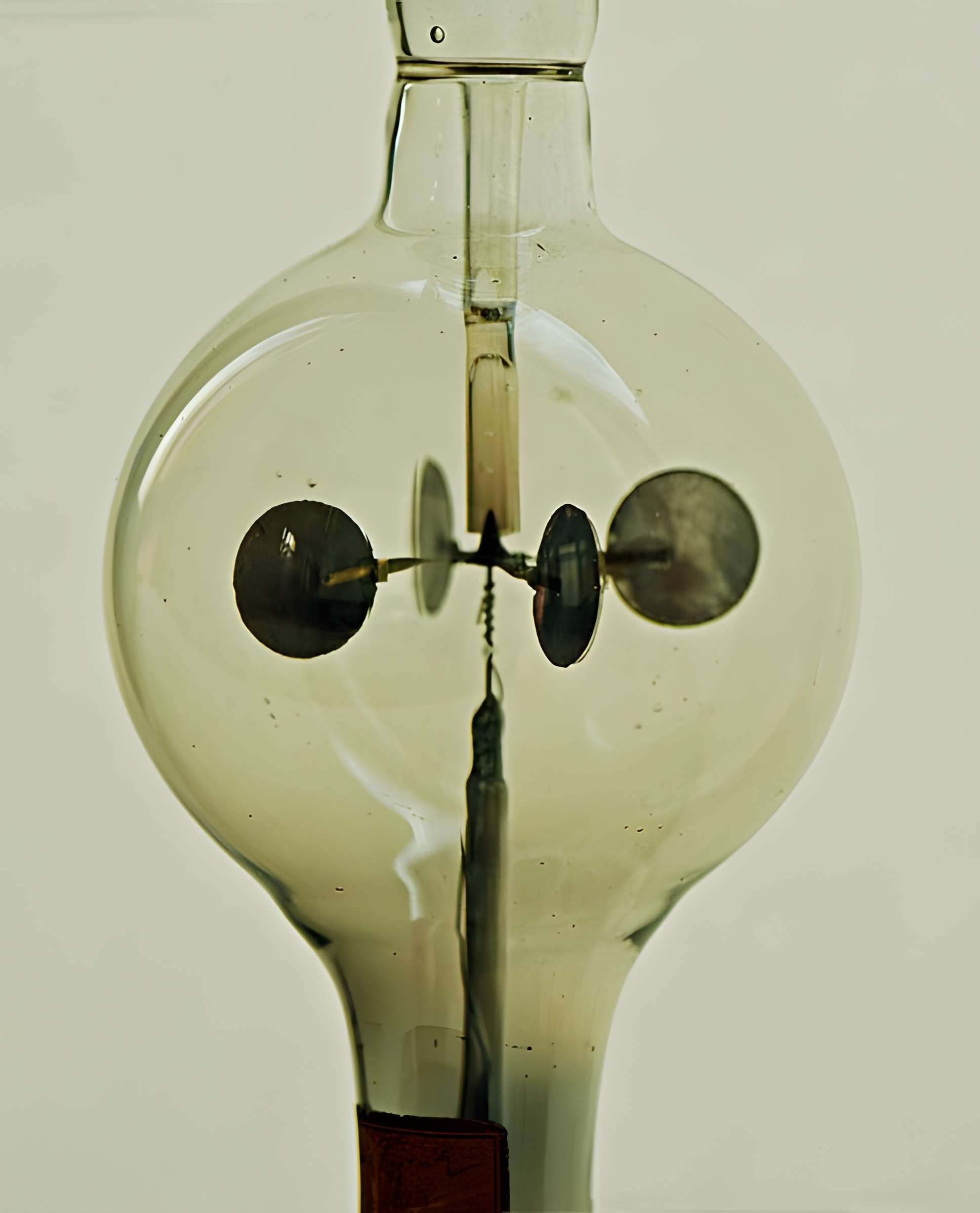 Musée d'histoire naturelle de Lille