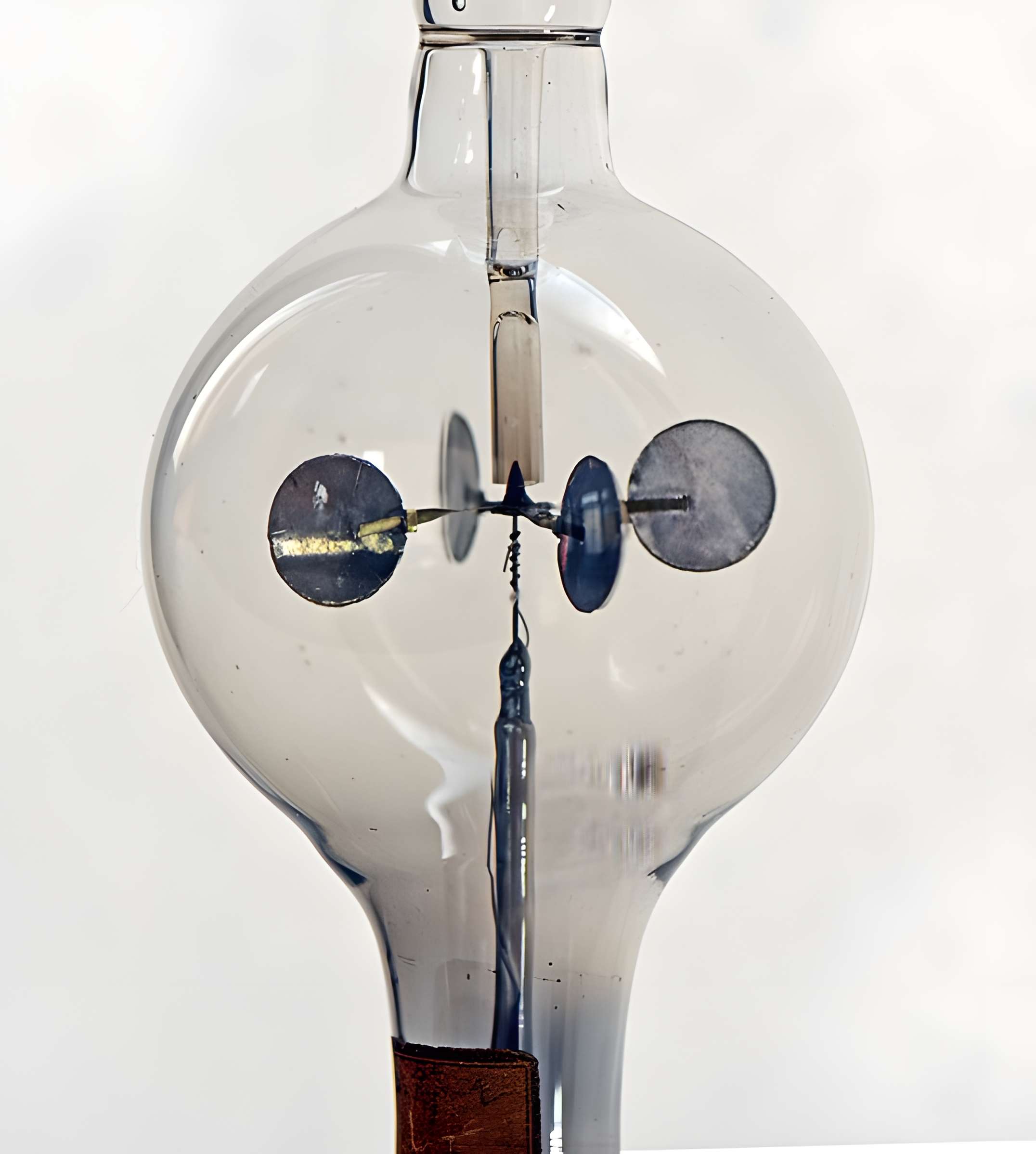 Musée d'histoire naturelle de Lille