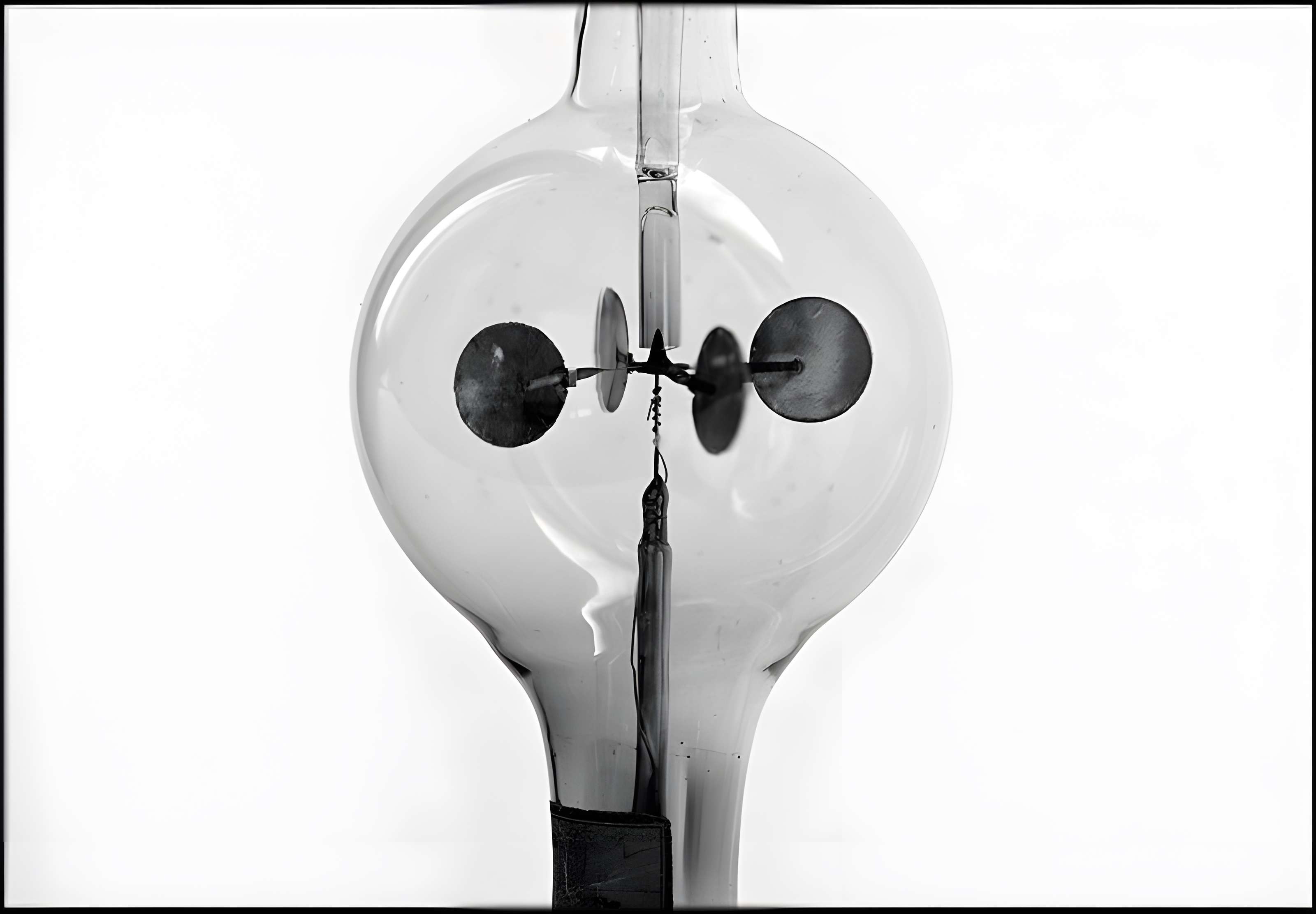 Musée d'histoire naturelle de Lille