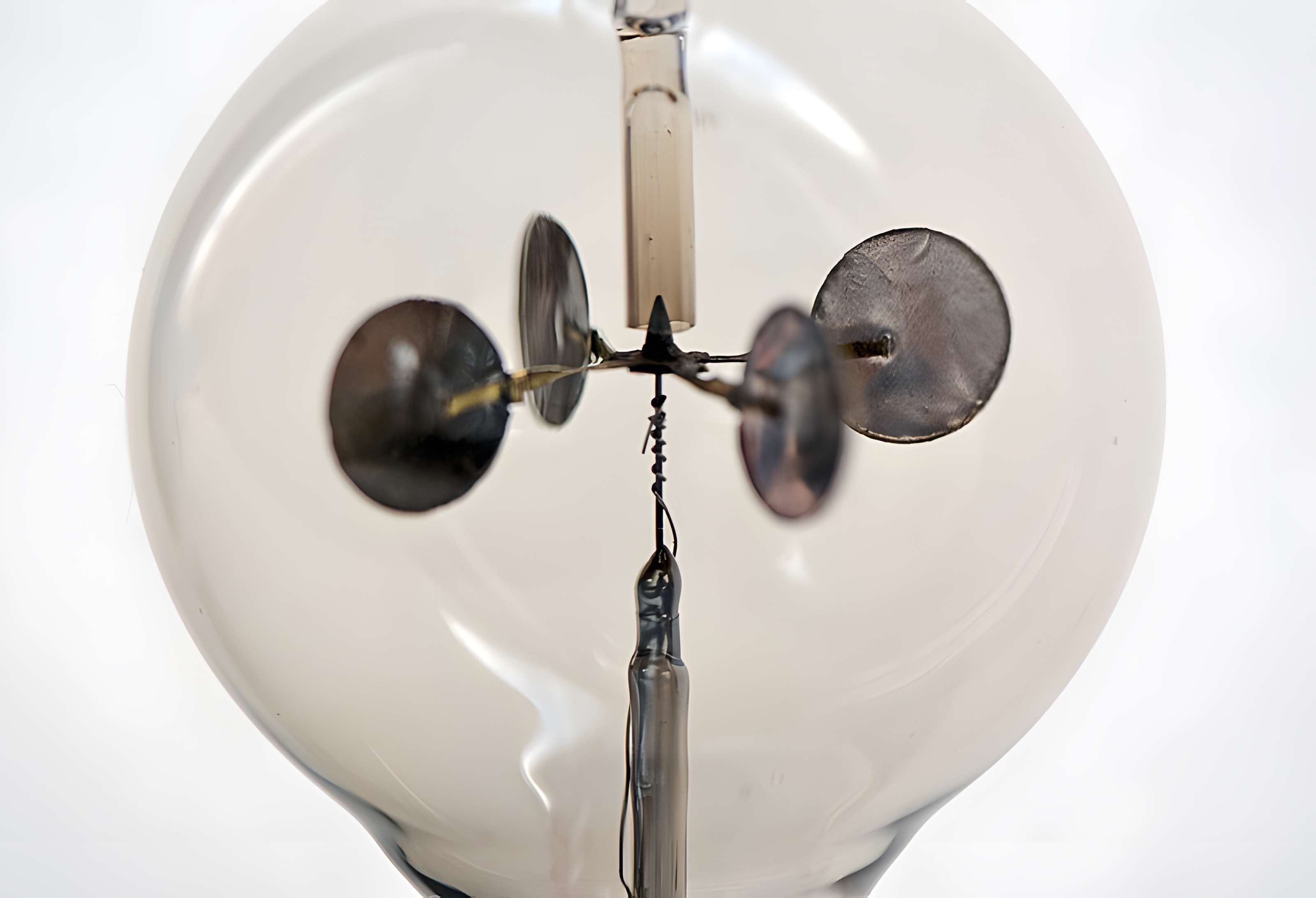 Musée d'histoire naturelle de Lille