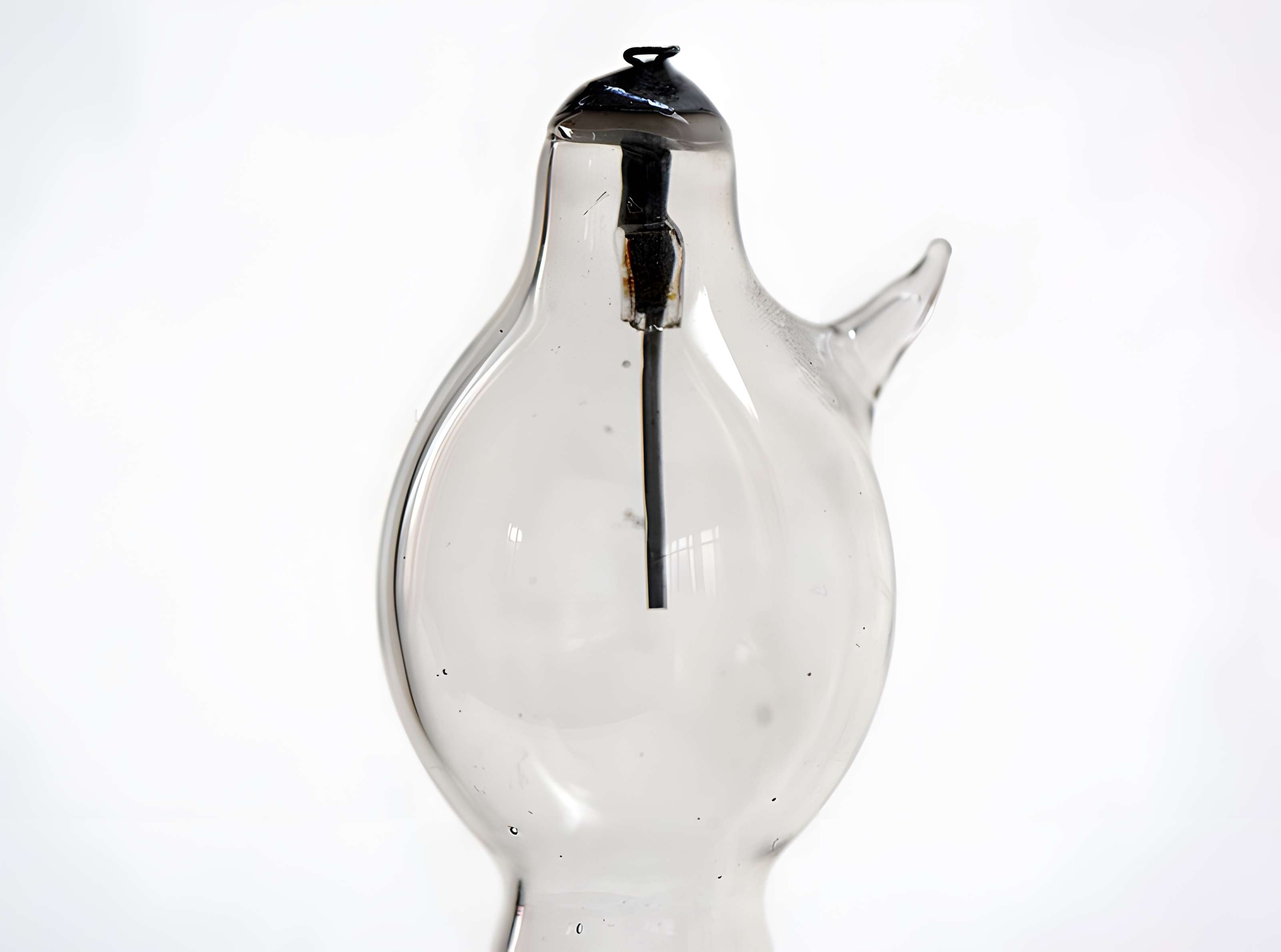 Musée d'histoire naturelle de Lille