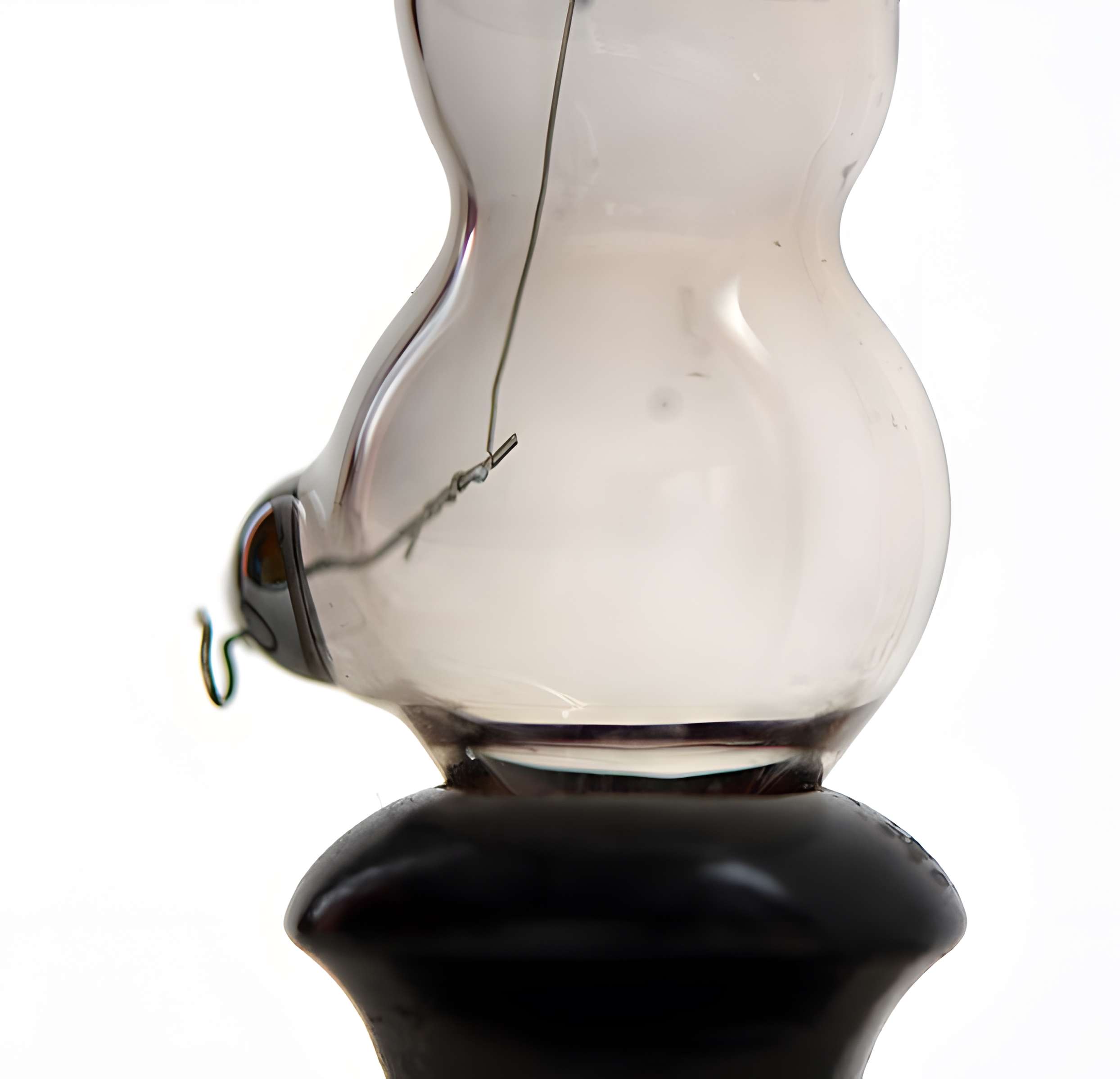 Musée d'histoire naturelle de Lille