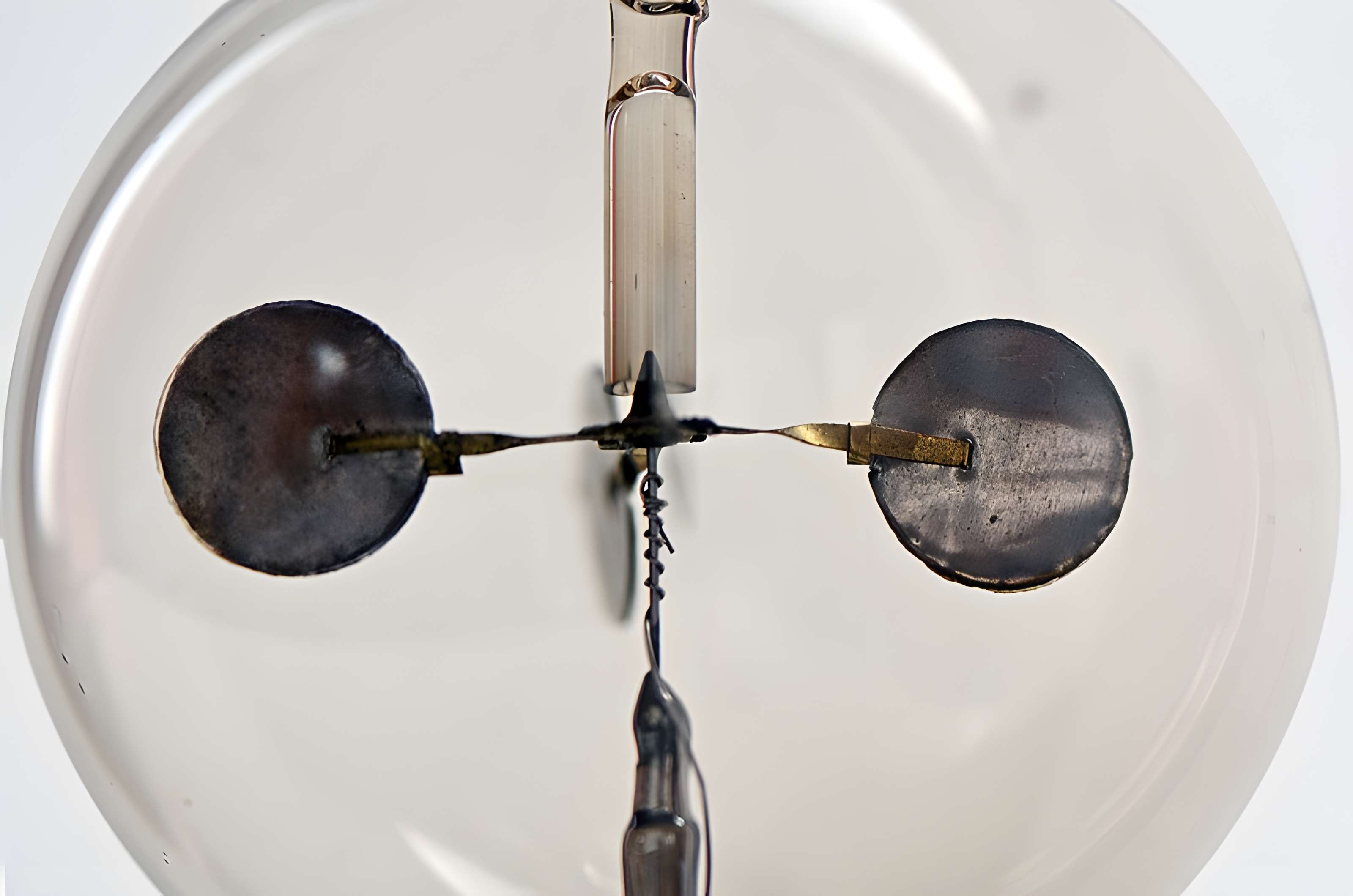 Musée d'histoire naturelle de Lille