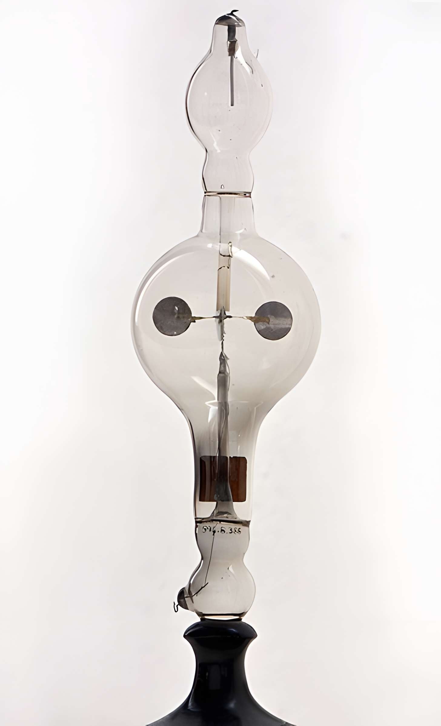 Musée d'histoire naturelle de Lille