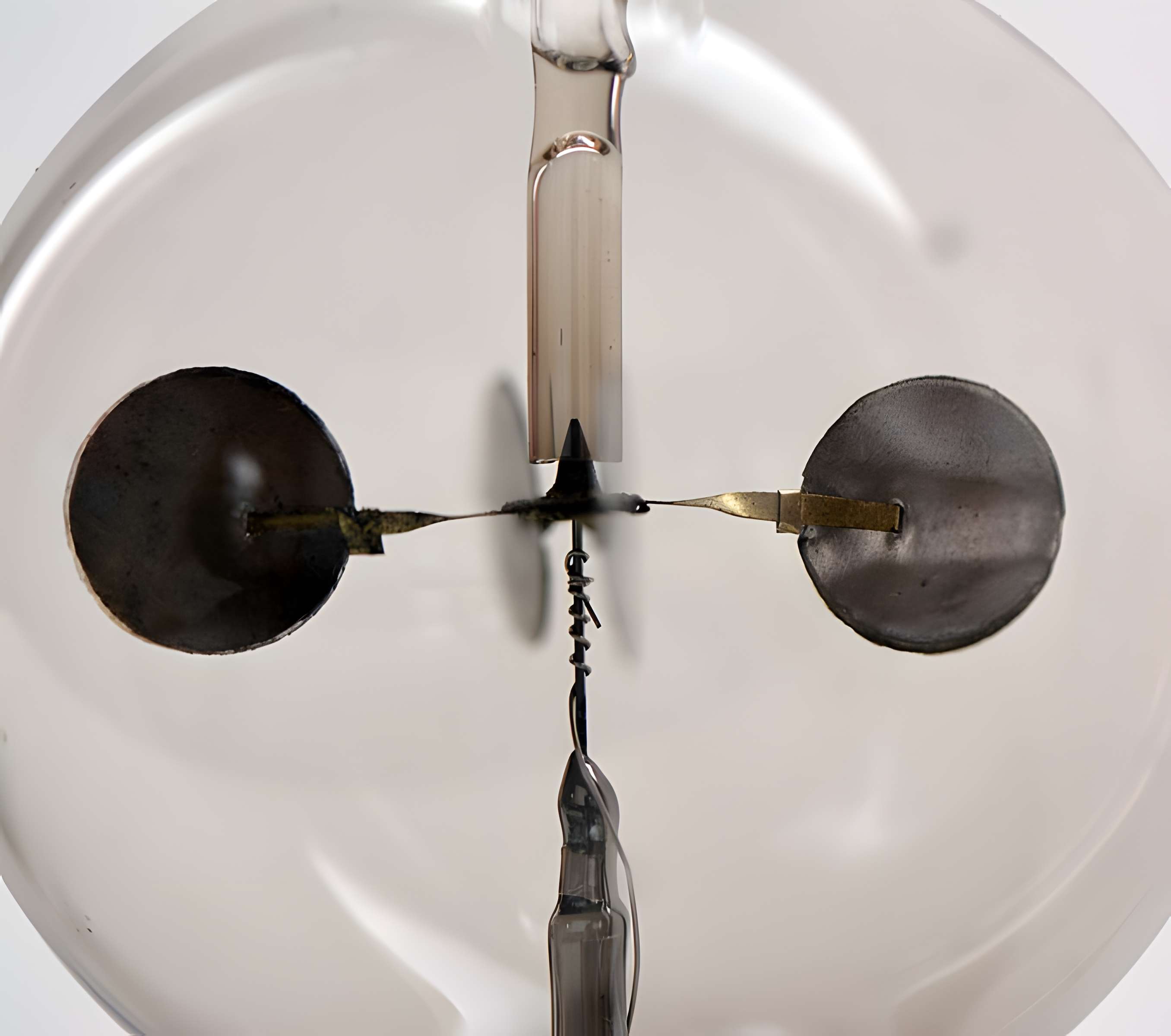 Musée d'histoire naturelle de Lille