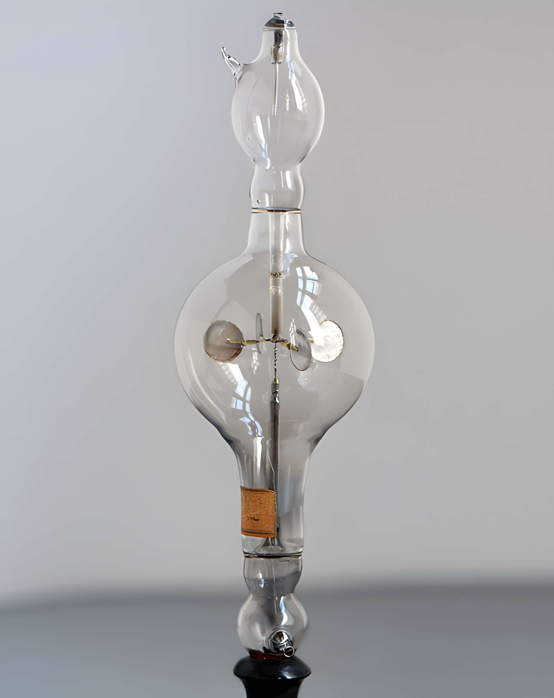 Musée d'histoire naturelle de Lille