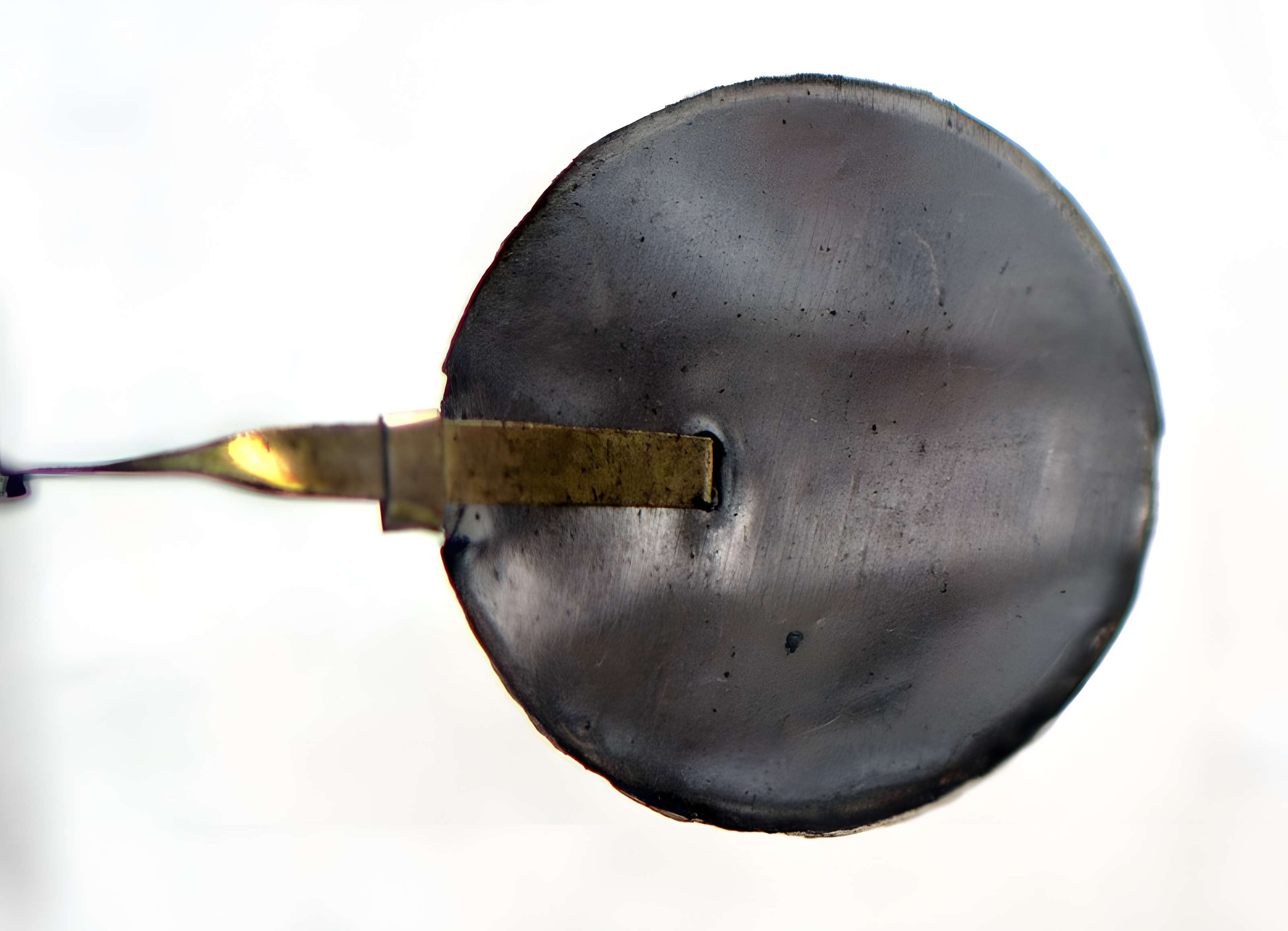 Musée d'histoire naturelle de Lille