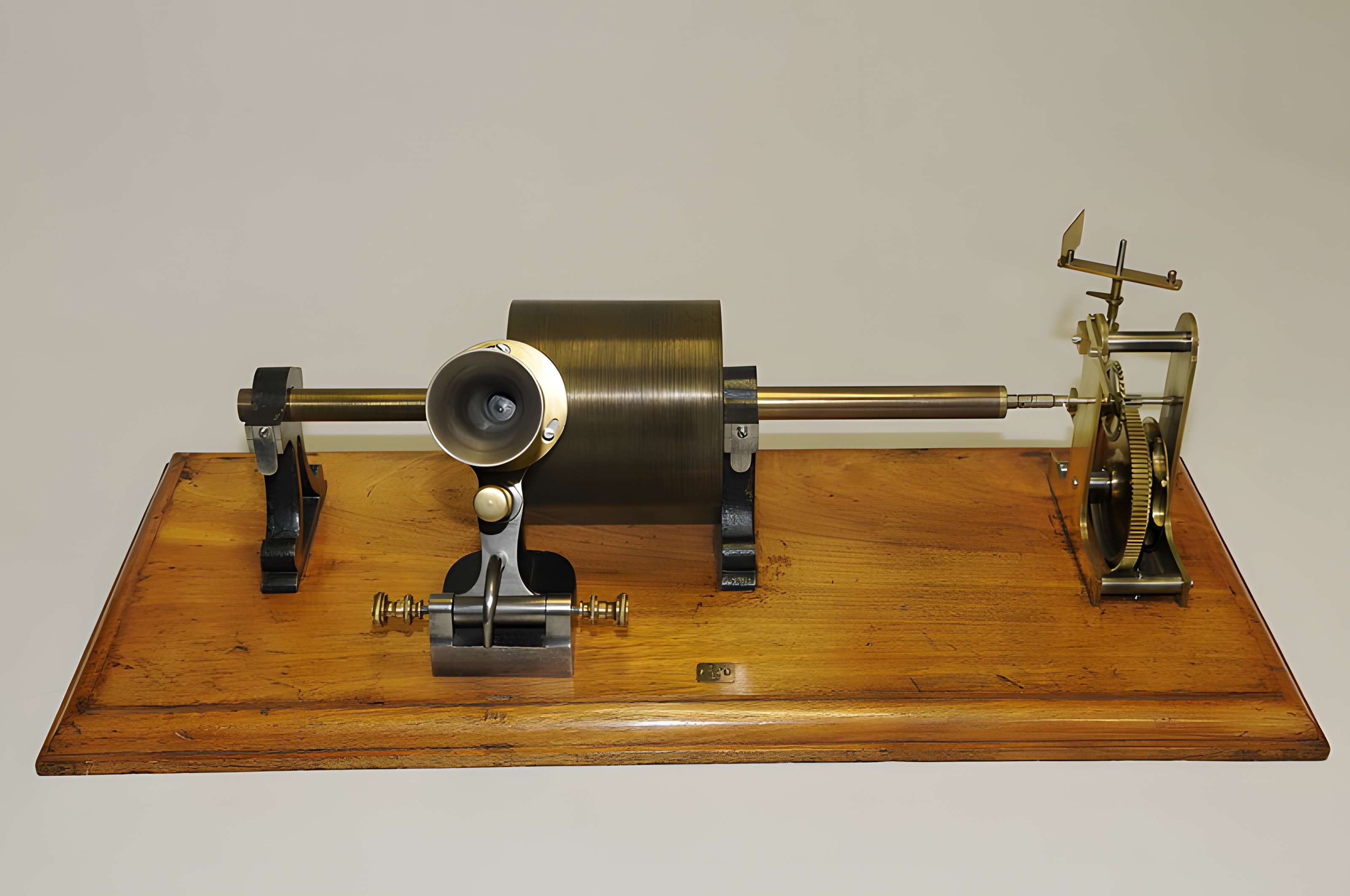 Musée d'histoire naturelle de Lille