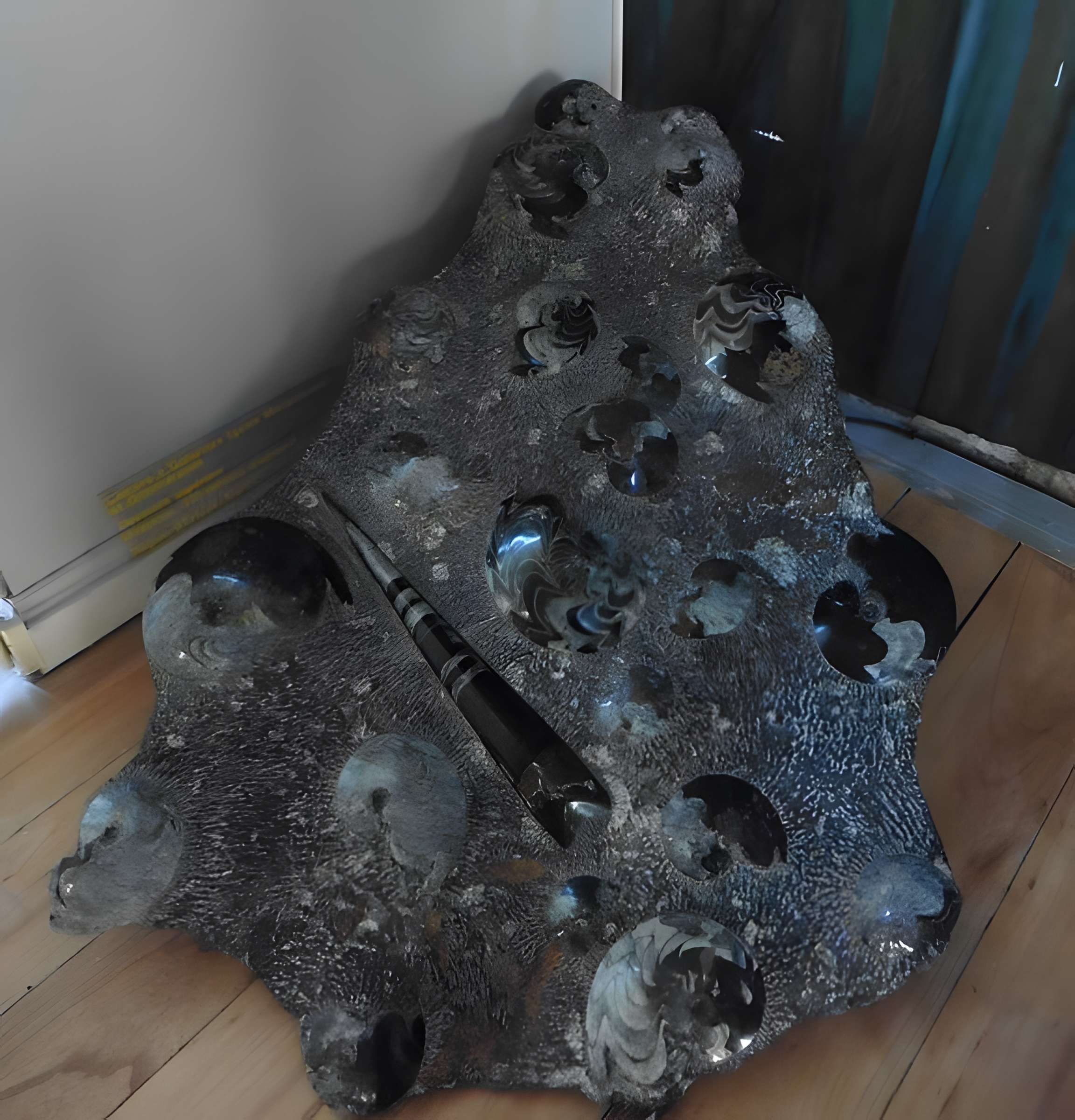 Musée d'histoire naturelle de Lille