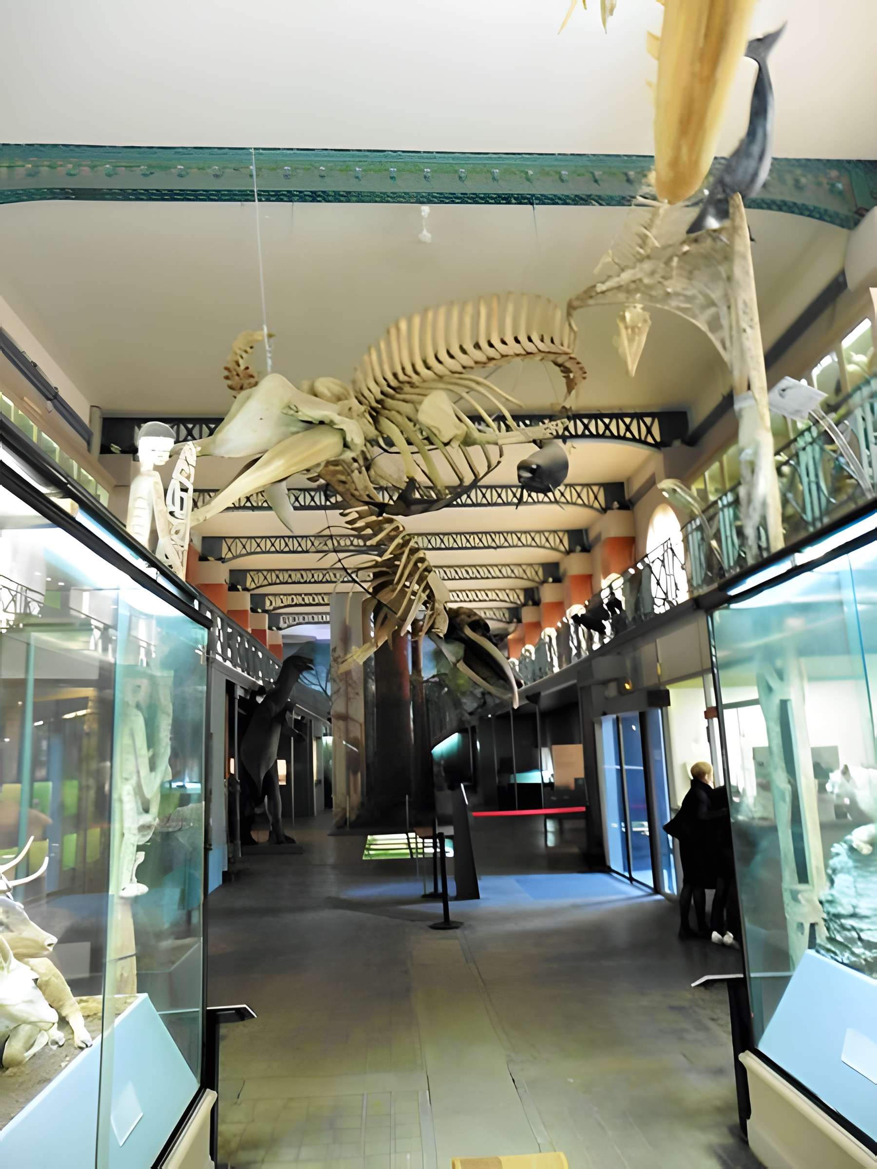 Musée d'histoire naturelle de Lille