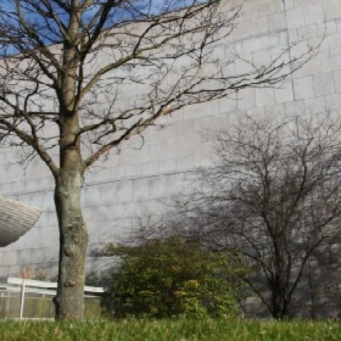 Photo de Musée des beaux-arts de Dunkerque