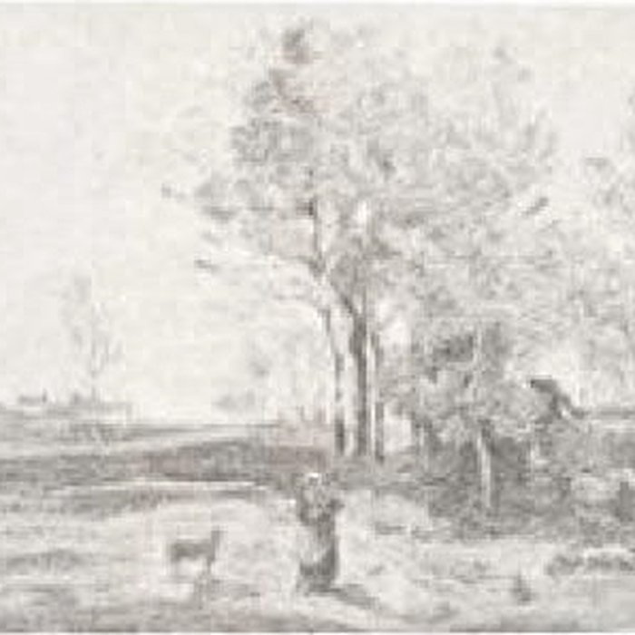 Photo de Musée des beaux-arts de Dunkerque