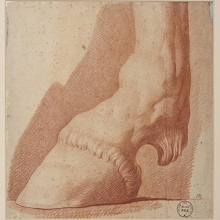 Photo de Musée de la Chartreuse de Douai