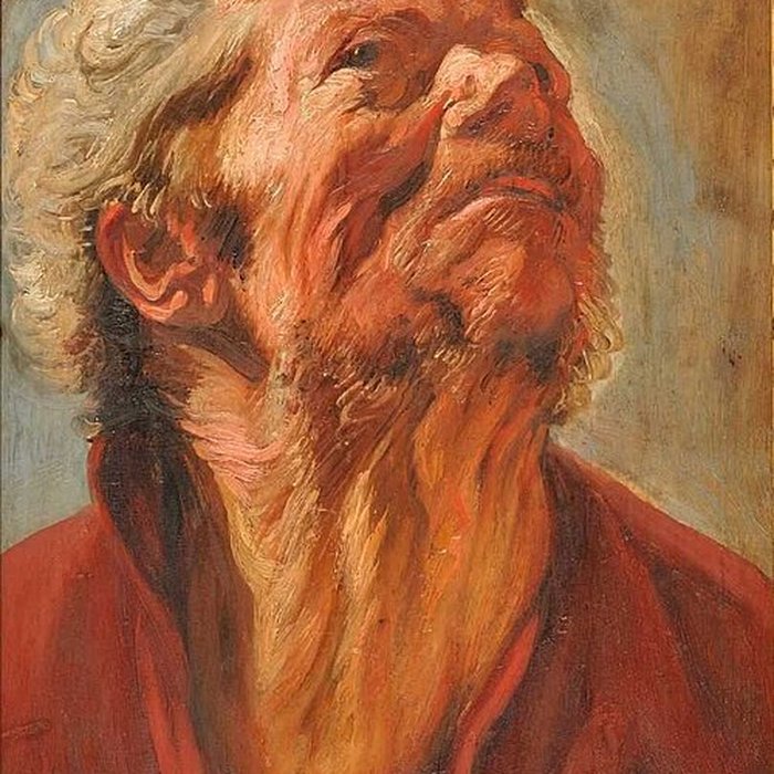 Photo de Musée de la Chartreuse de Douai