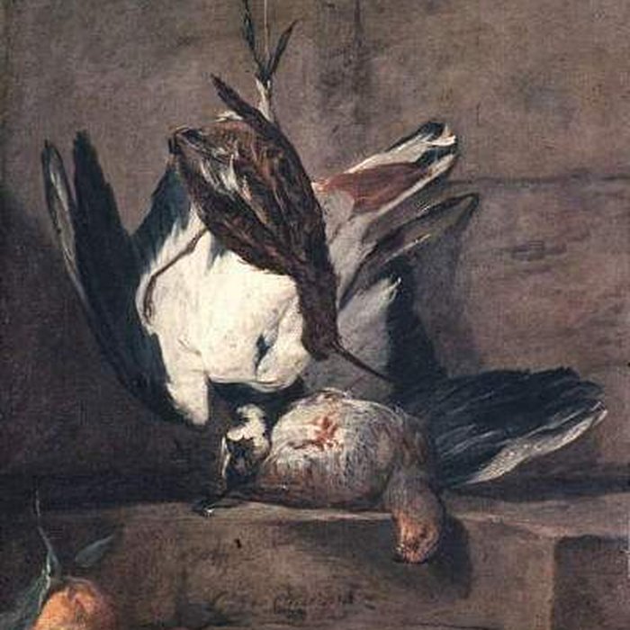 Photo de Musée de la Chartreuse de Douai