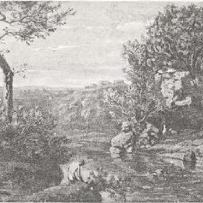 Photo de Musée de la Chartreuse de Douai