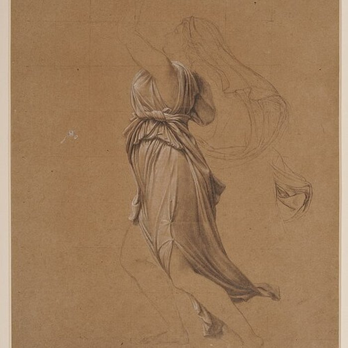 Photo de Musée de la Chartreuse de Douai