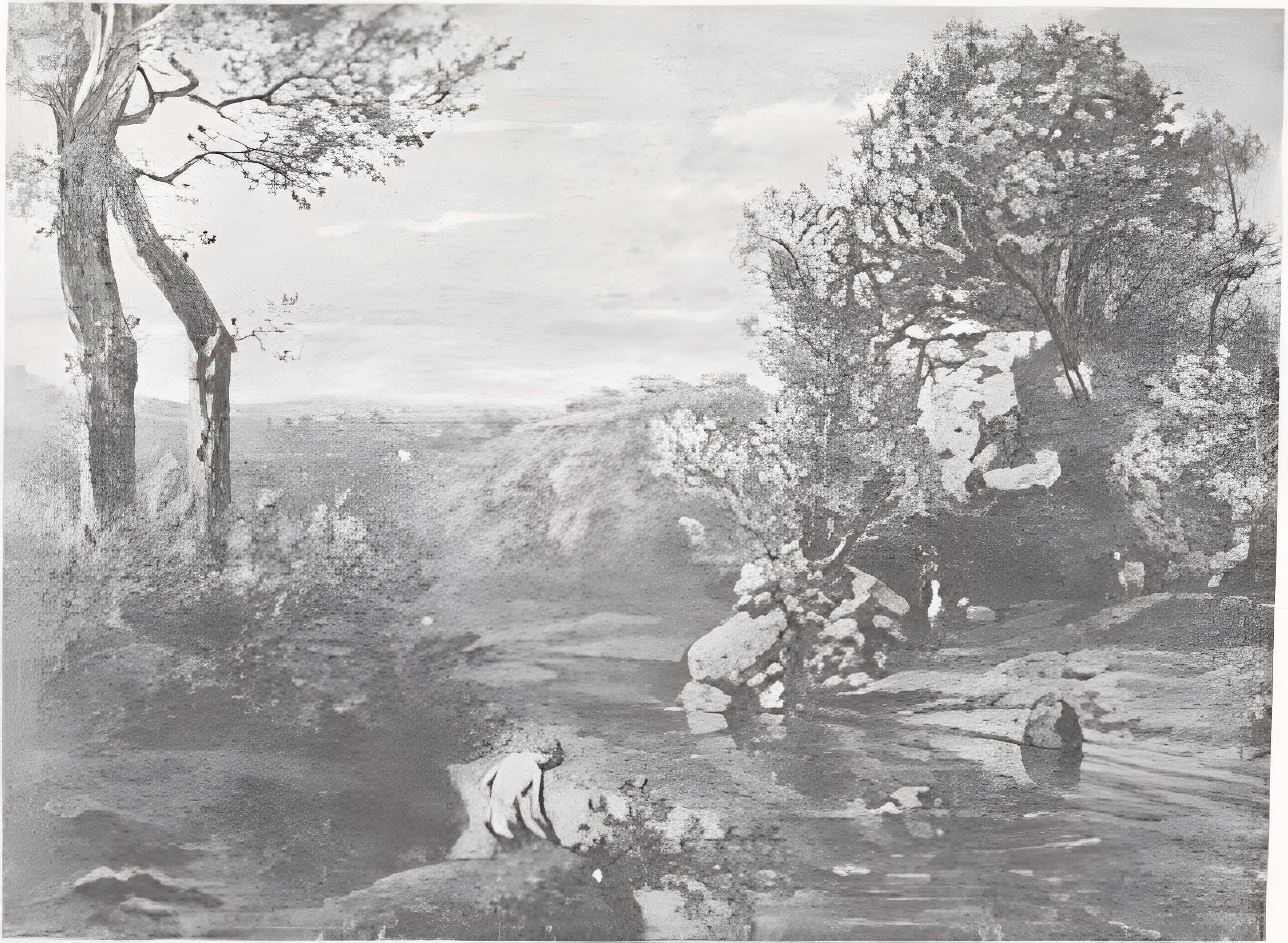 Musée de la Chartreuse de Douai