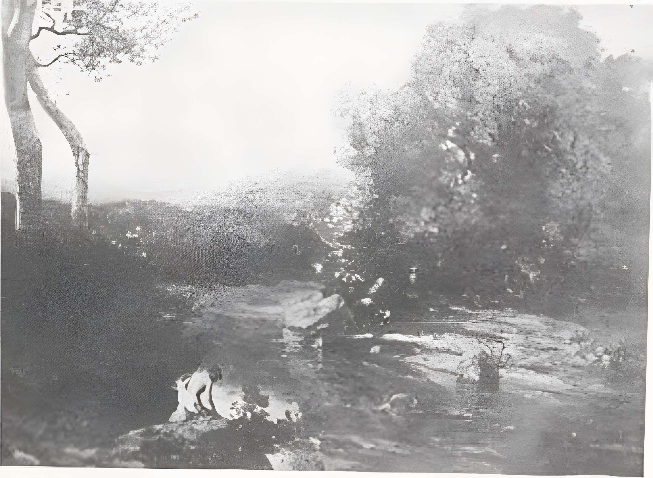 Musée de la Chartreuse de Douai