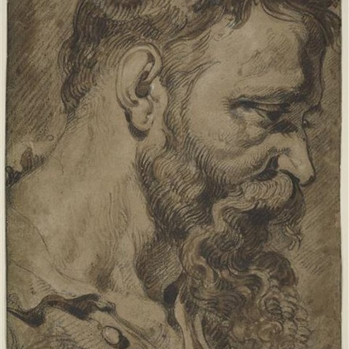 Photo de Musée des beaux-arts de Valenciennes