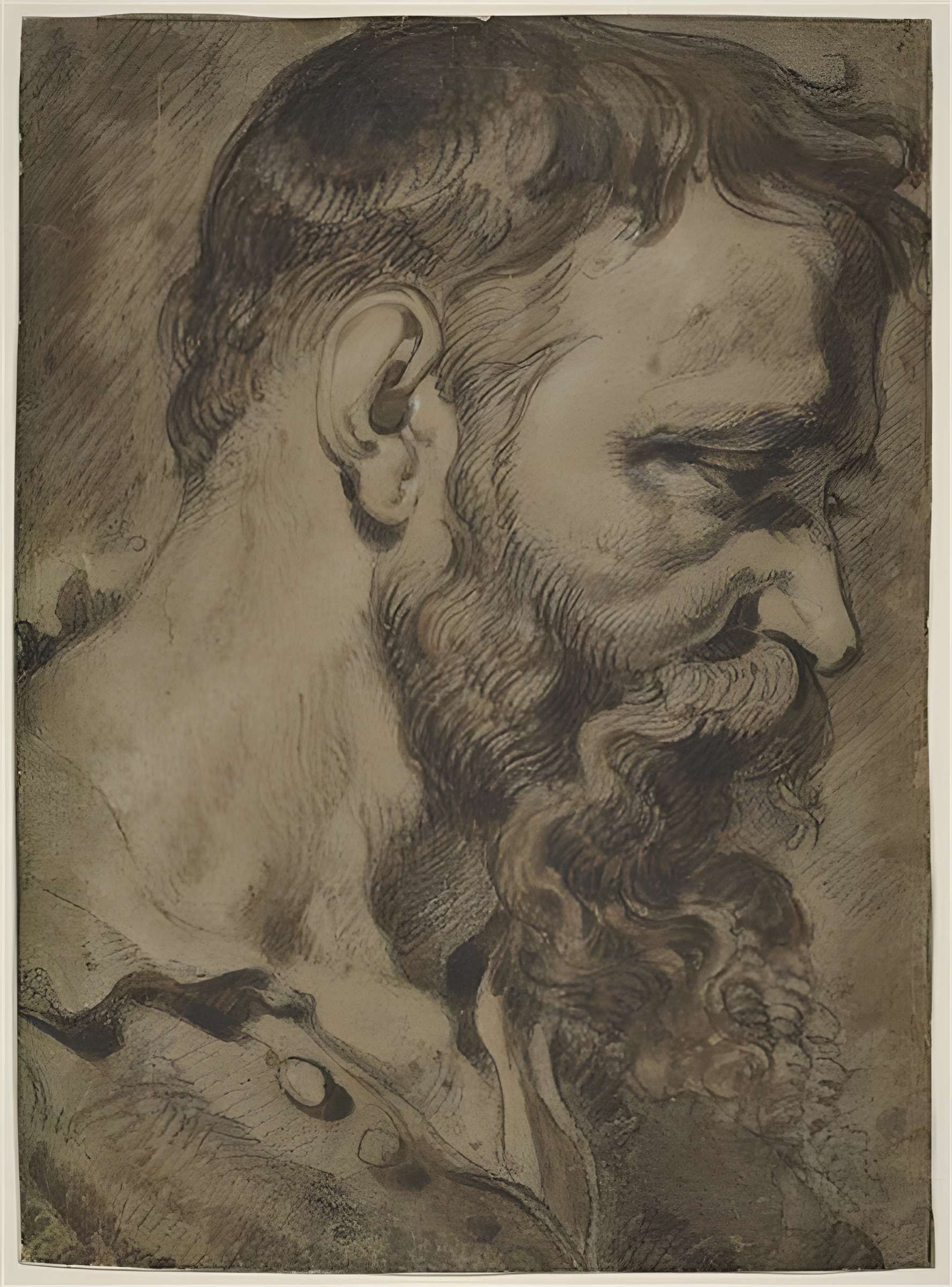 Musée des beaux-arts de Valenciennes