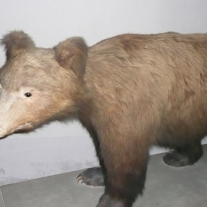 Photo de Château de Sassenage