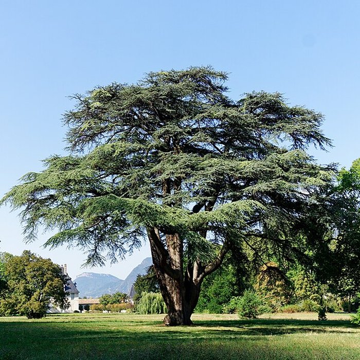 Photo de Château de Sassenage