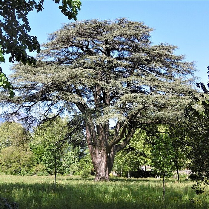 Photo de Château de Sassenage