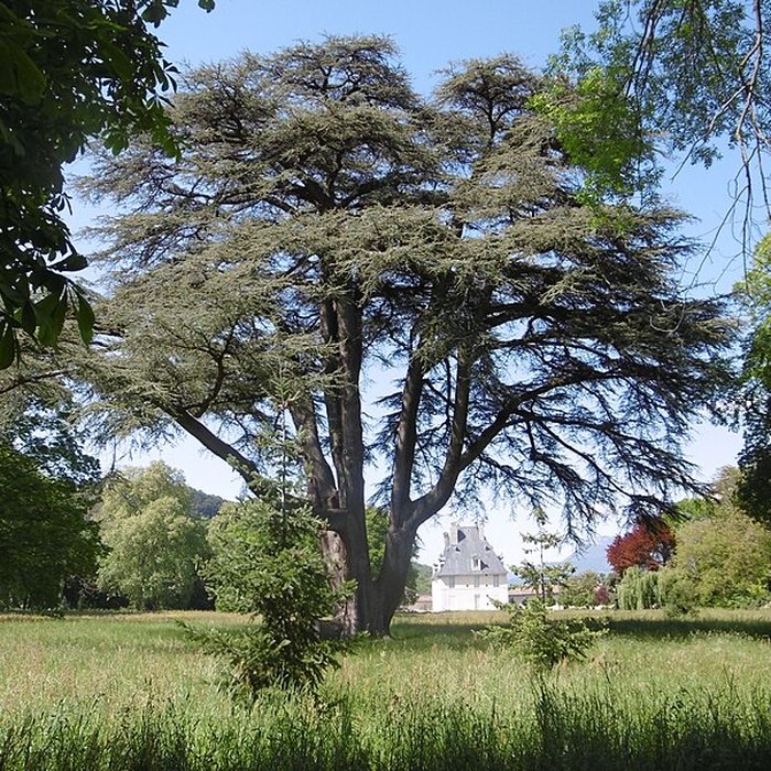 Photo de Château de Sassenage