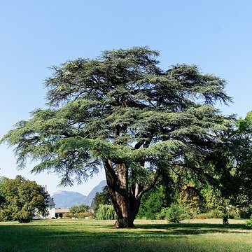Château de Sassenage