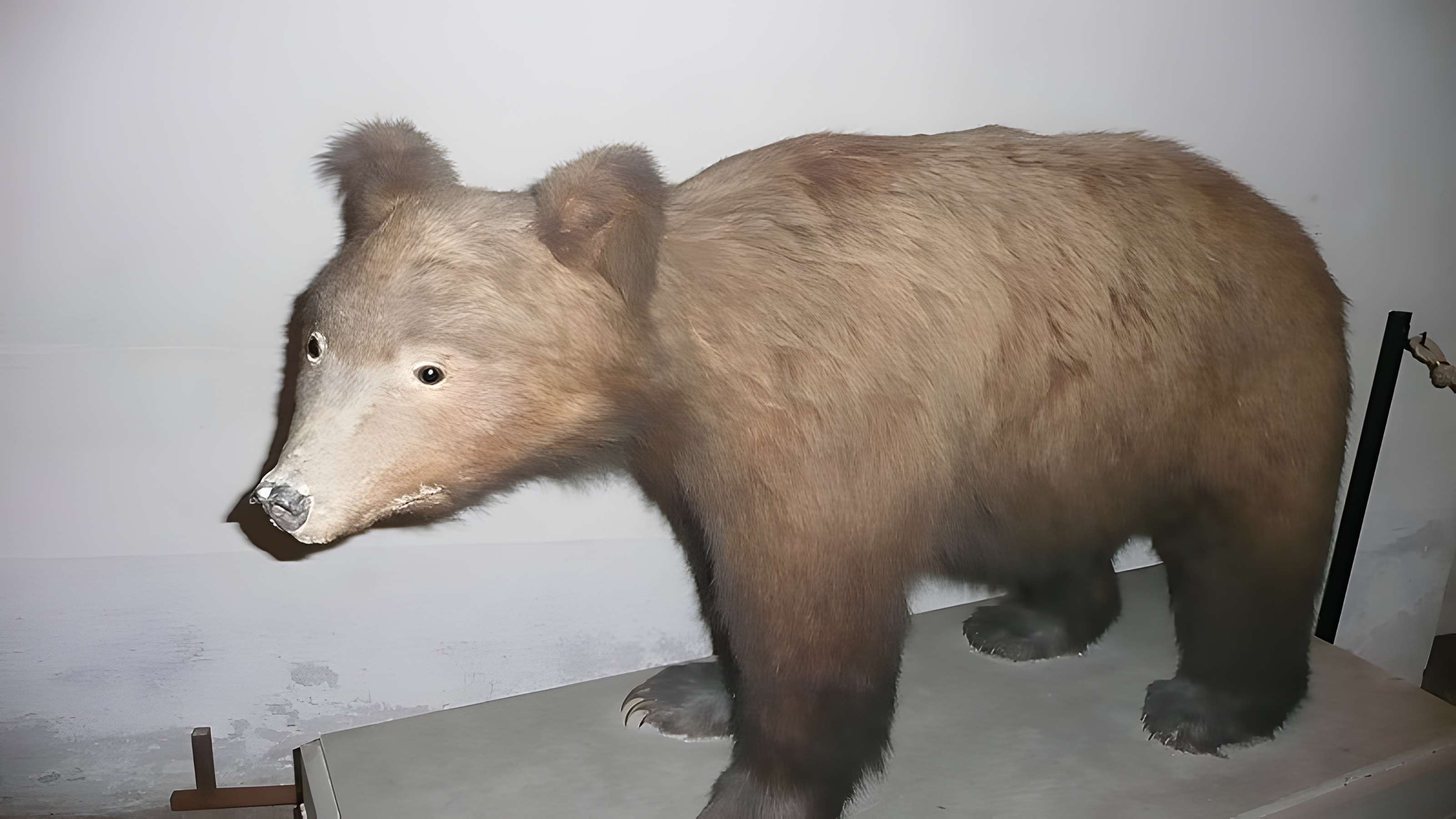 Château de Sassenage