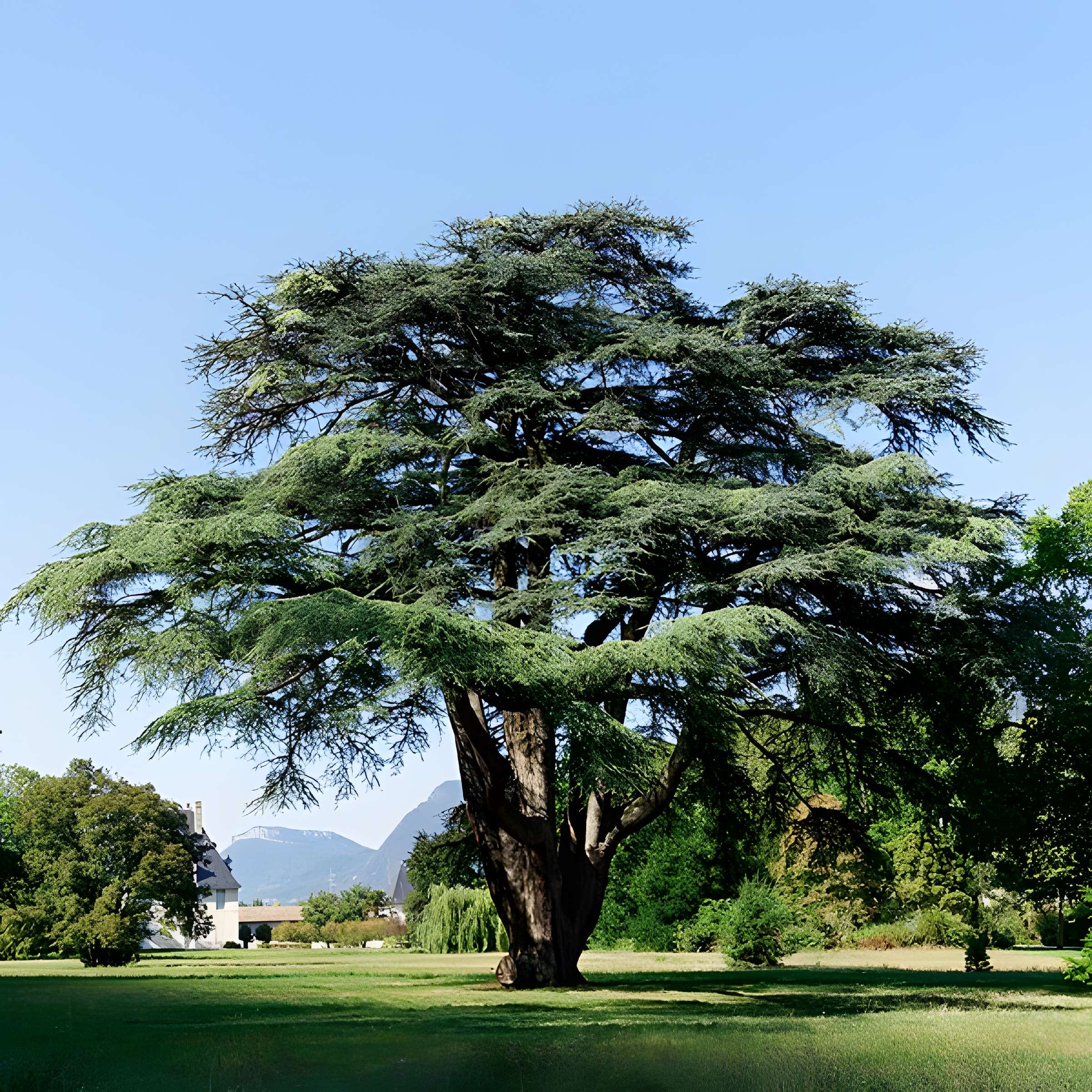 Château de Sassenage