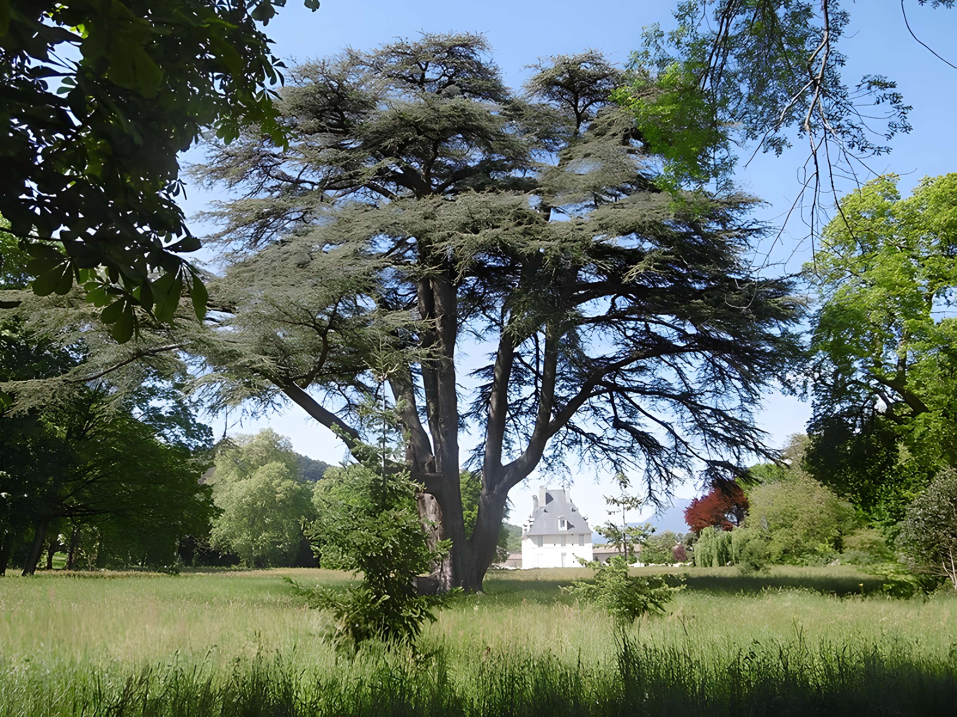 Château de Sassenage