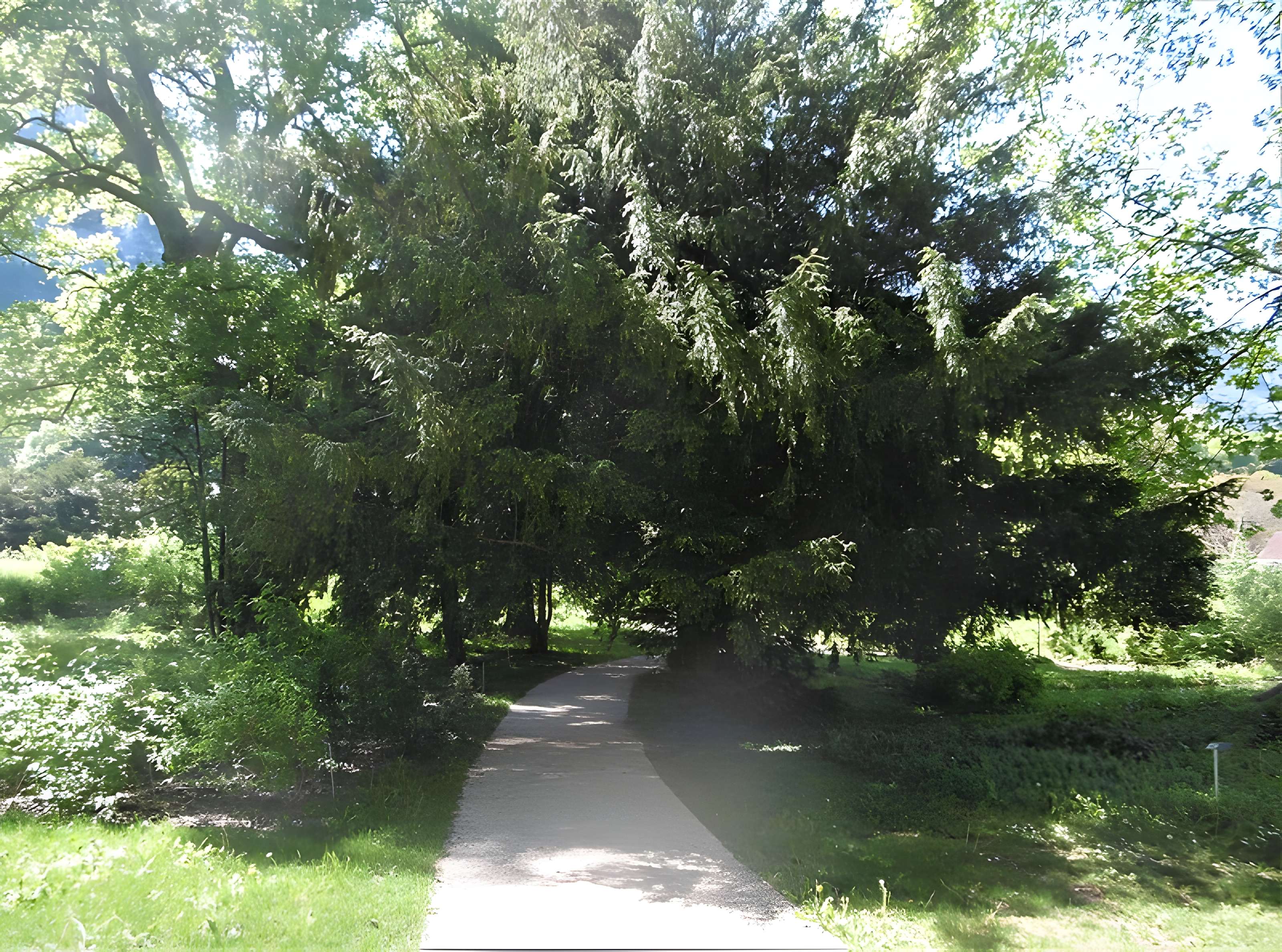 Château de Sassenage