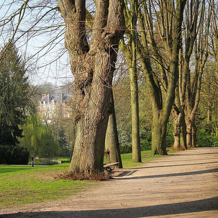 Photo de Palais Fénélon : Musée Matisse