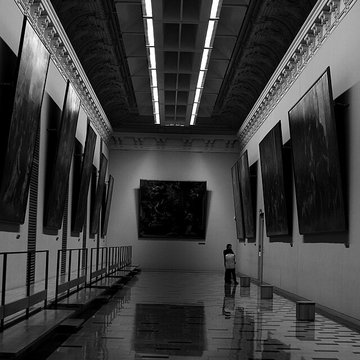 Musée des beaux-arts dArras