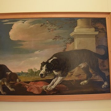 Musée des beaux-arts dArras