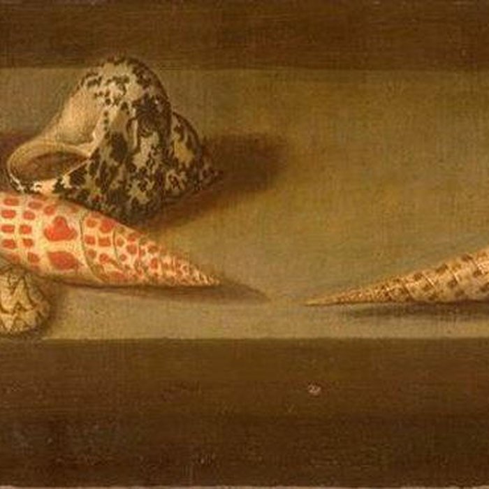 Photo de Musée de lhôtel Sandelin à Saint-Omer