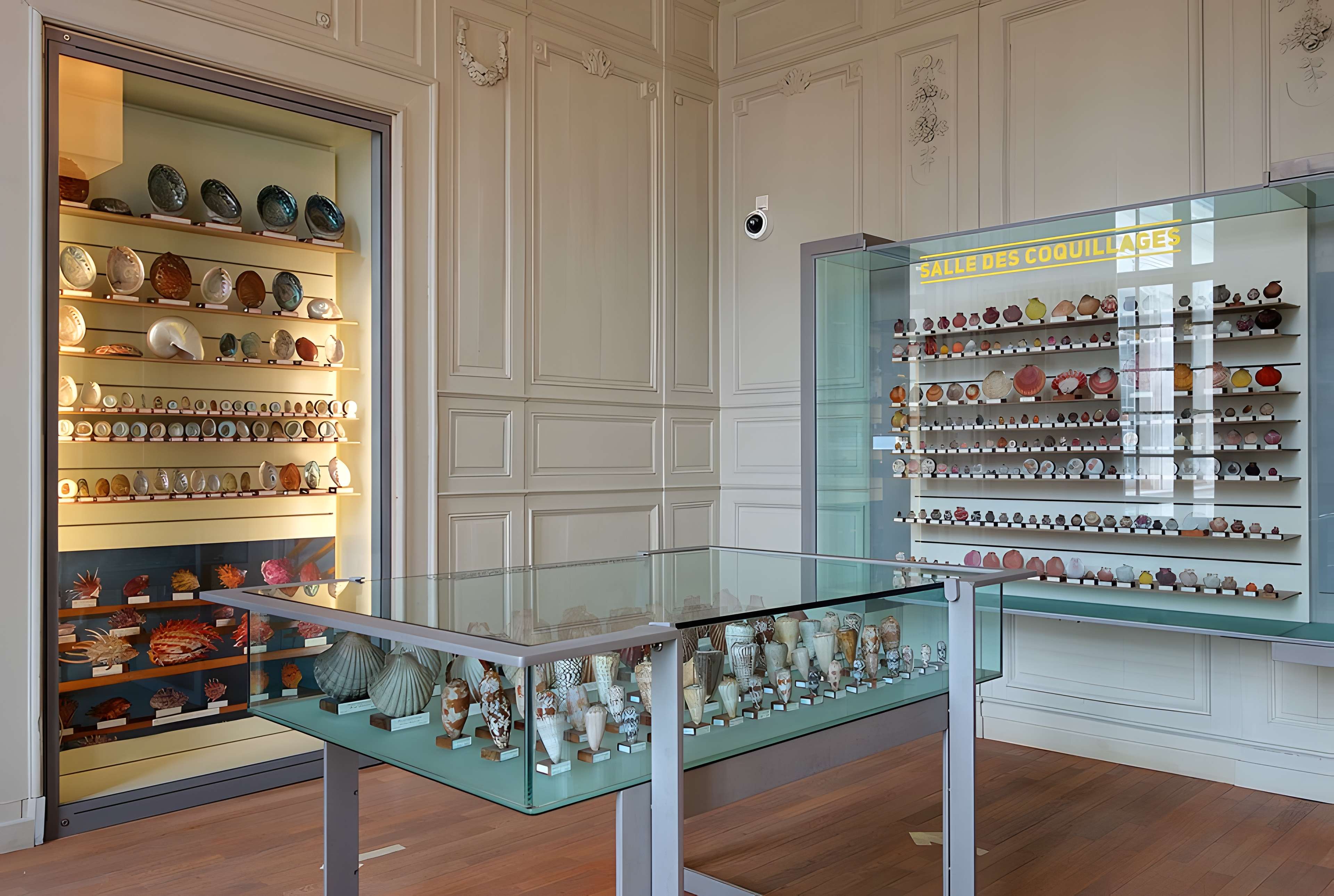 Musée de l'hôtel Sandelin à Saint-Omer