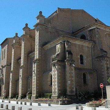 Cathédrale Saint-Benoît de Castres