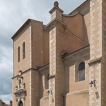Cathédrale Saint-Benoît de Castres