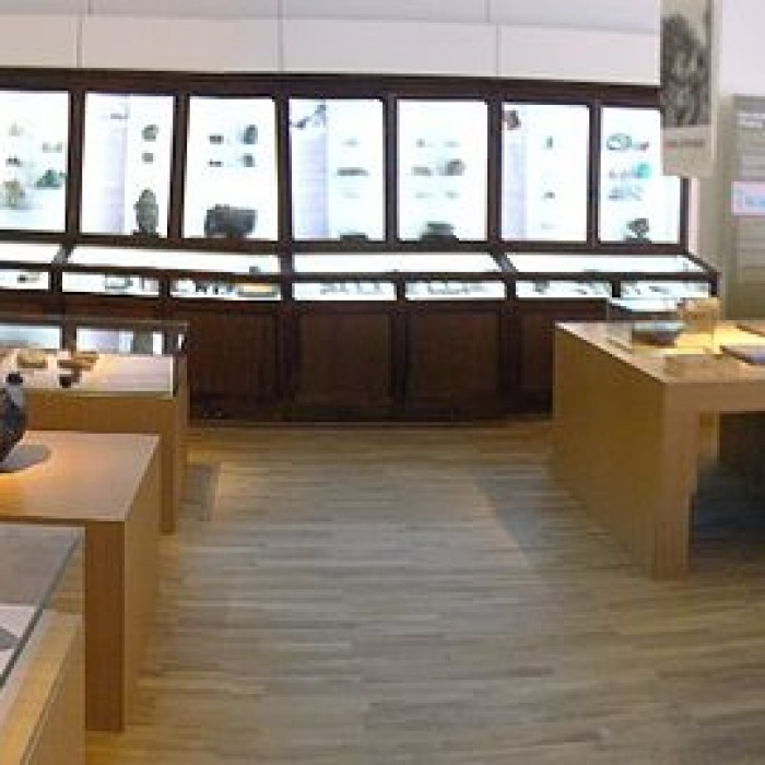 Photo de Muséum dhistoire naturelle de Nantes