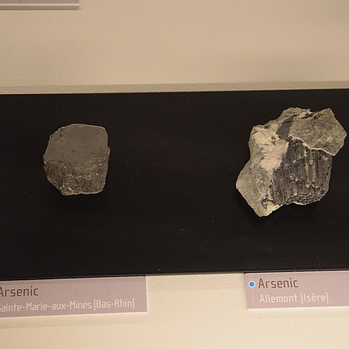 Photo de Muséum dhistoire naturelle de Nantes