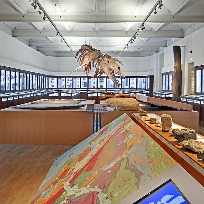 Photo de Muséum dhistoire naturelle de Nantes