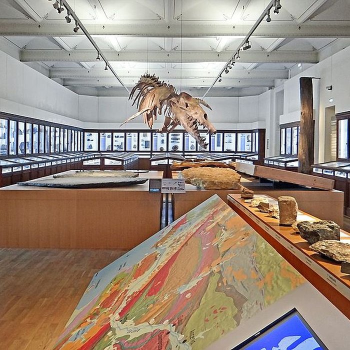 Photo de Muséum dhistoire naturelle de Nantes