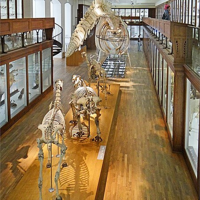 Photo de Muséum dhistoire naturelle de Nantes
