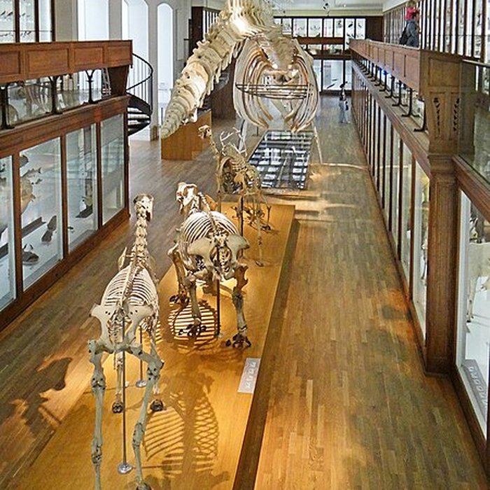 Photo de Muséum dhistoire naturelle de Nantes