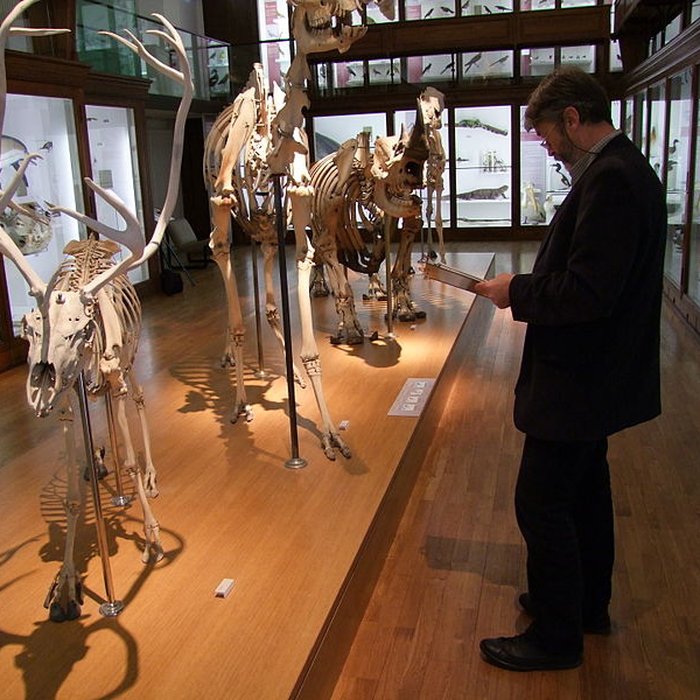 Photo de Muséum dhistoire naturelle de Nantes